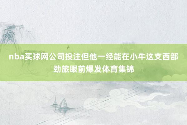 nba买球网公司投注但他一经能在小牛这支西部劲旅眼前爆发体育集锦