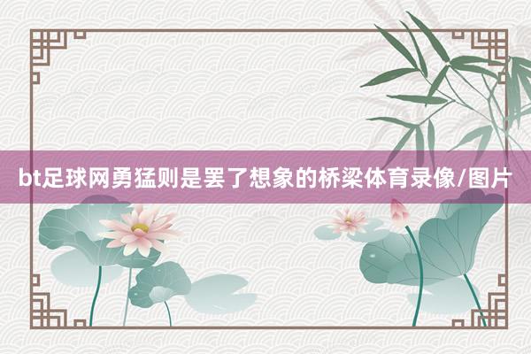 bt足球网勇猛则是罢了想象的桥梁体育录像/图片