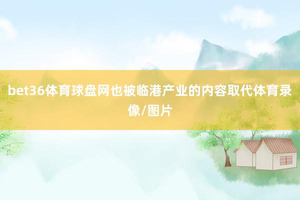 bet36体育球盘网也被临港产业的内容取代体育录像/图片