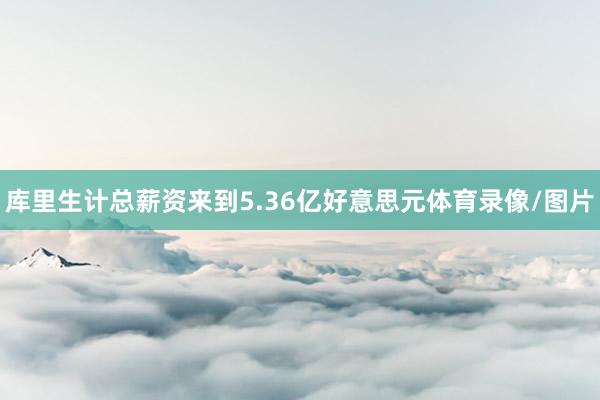 库里生计总薪资来到5.36亿好意思元体育录像/图片