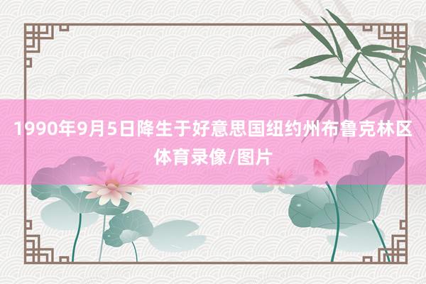 1990年9月5日降生于好意思国纽约州布鲁克林区体育录像/图片