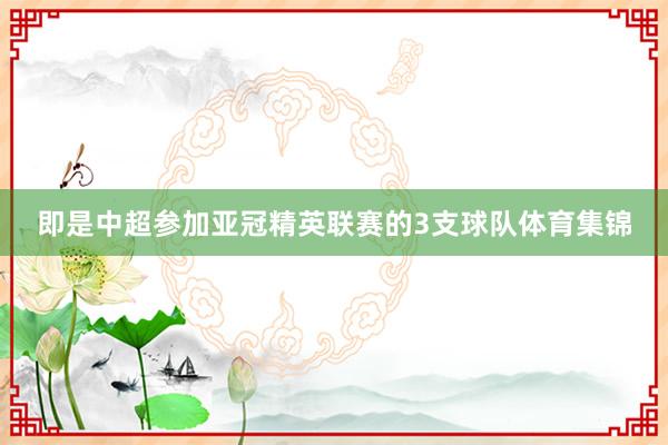 即是中超参加亚冠精英联赛的3支球队体育集锦
