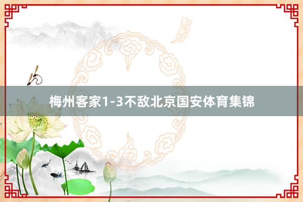 梅州客家1-3不敌北京国安体育集锦