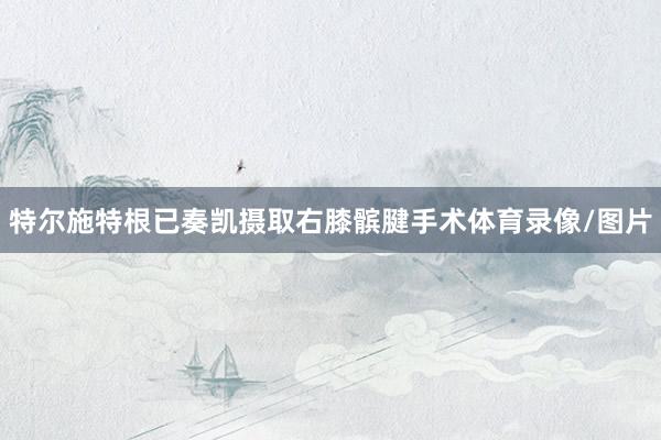 特尔施特根已奏凯摄取右膝髌腱手术体育录像/图片