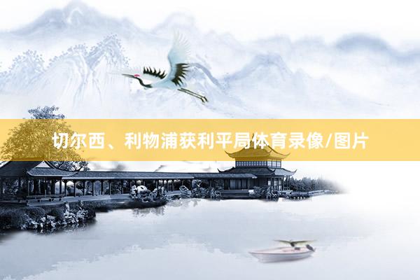 切尔西、利物浦获利平局体育录像/图片
