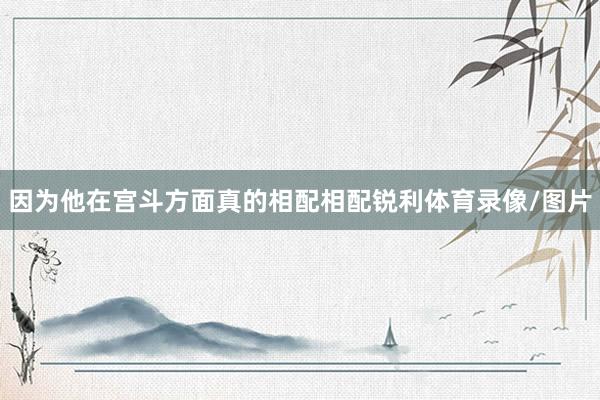 因为他在宫斗方面真的相配相配锐利体育录像/图片