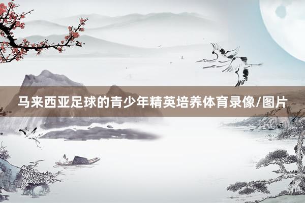 马来西亚足球的青少年精英培养体育录像/图片