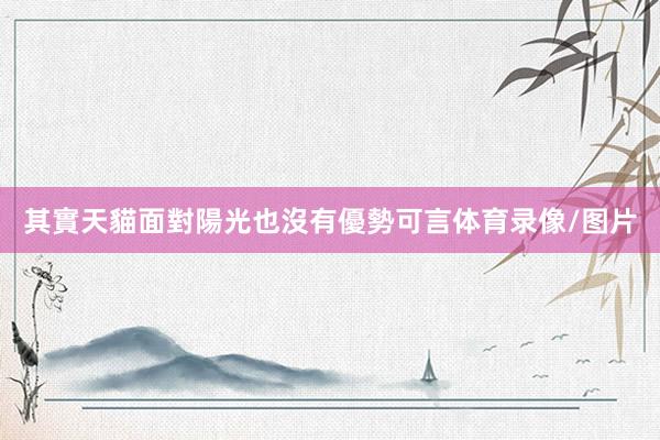 其實天貓面對陽光也沒有優勢可言体育录像/图片