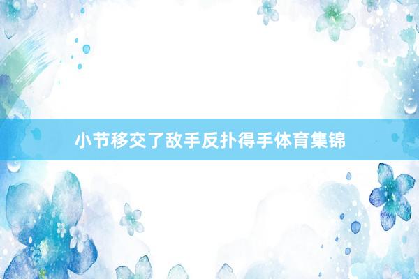 小节移交了敌手反扑得手体育集锦