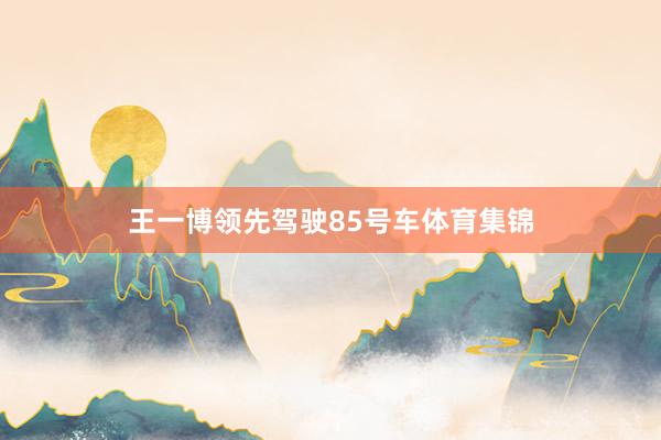 王一博领先驾驶85号车体育集锦