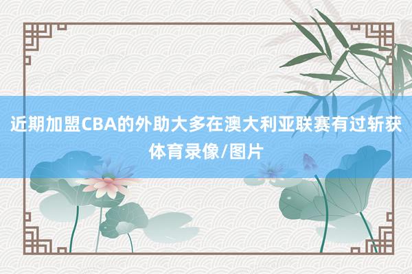 近期加盟CBA的外助大多在澳大利亚联赛有过斩获体育录像/图片