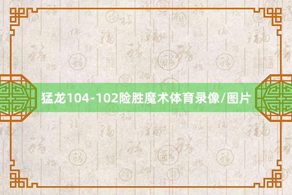 猛龙104-102险胜魔术体育录像/图片