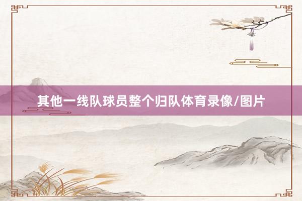 其他一线队球员整个归队体育录像/图片